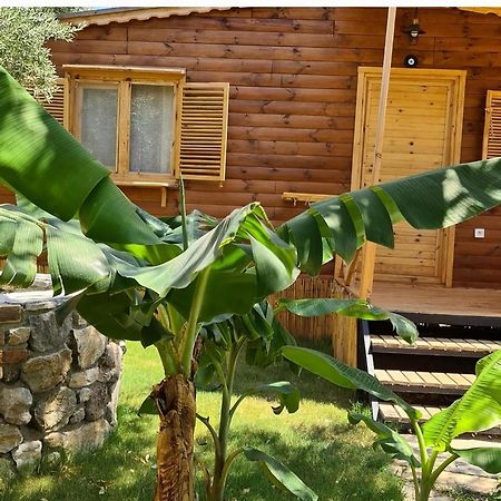 Derin Tas-Bungalow Datça Esterno foto