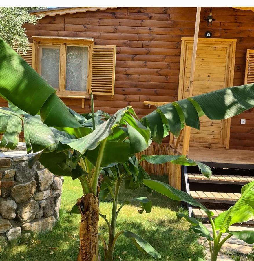 Derin Tas-Bungalow Datça Esterno foto